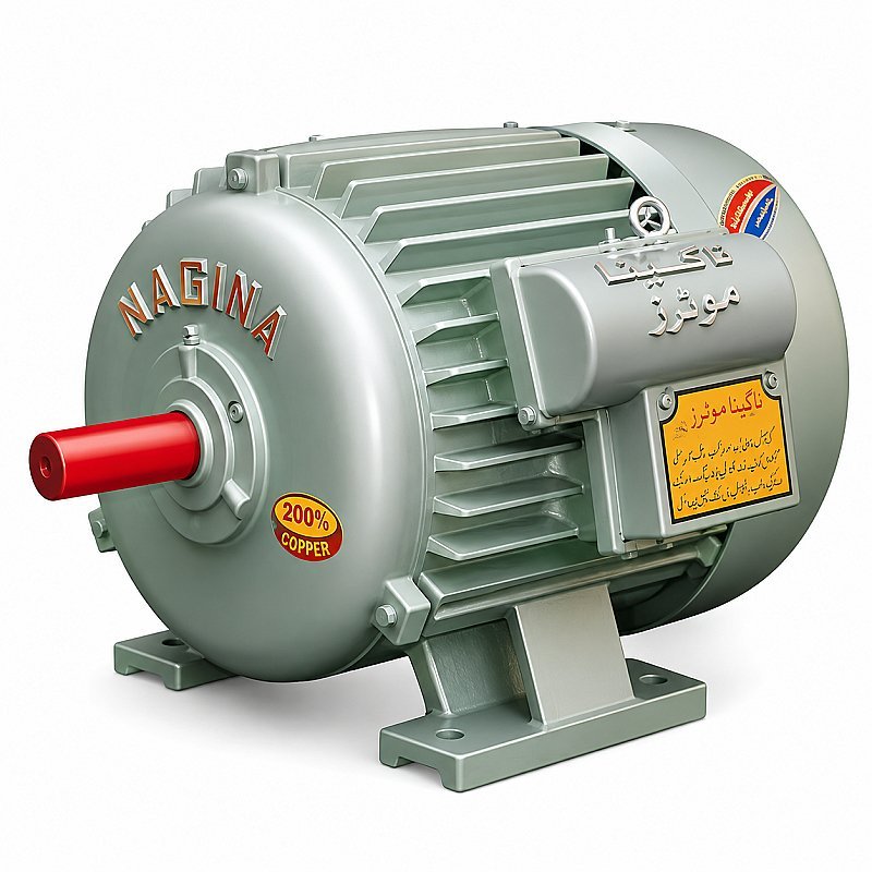 Nagina Electric Motors