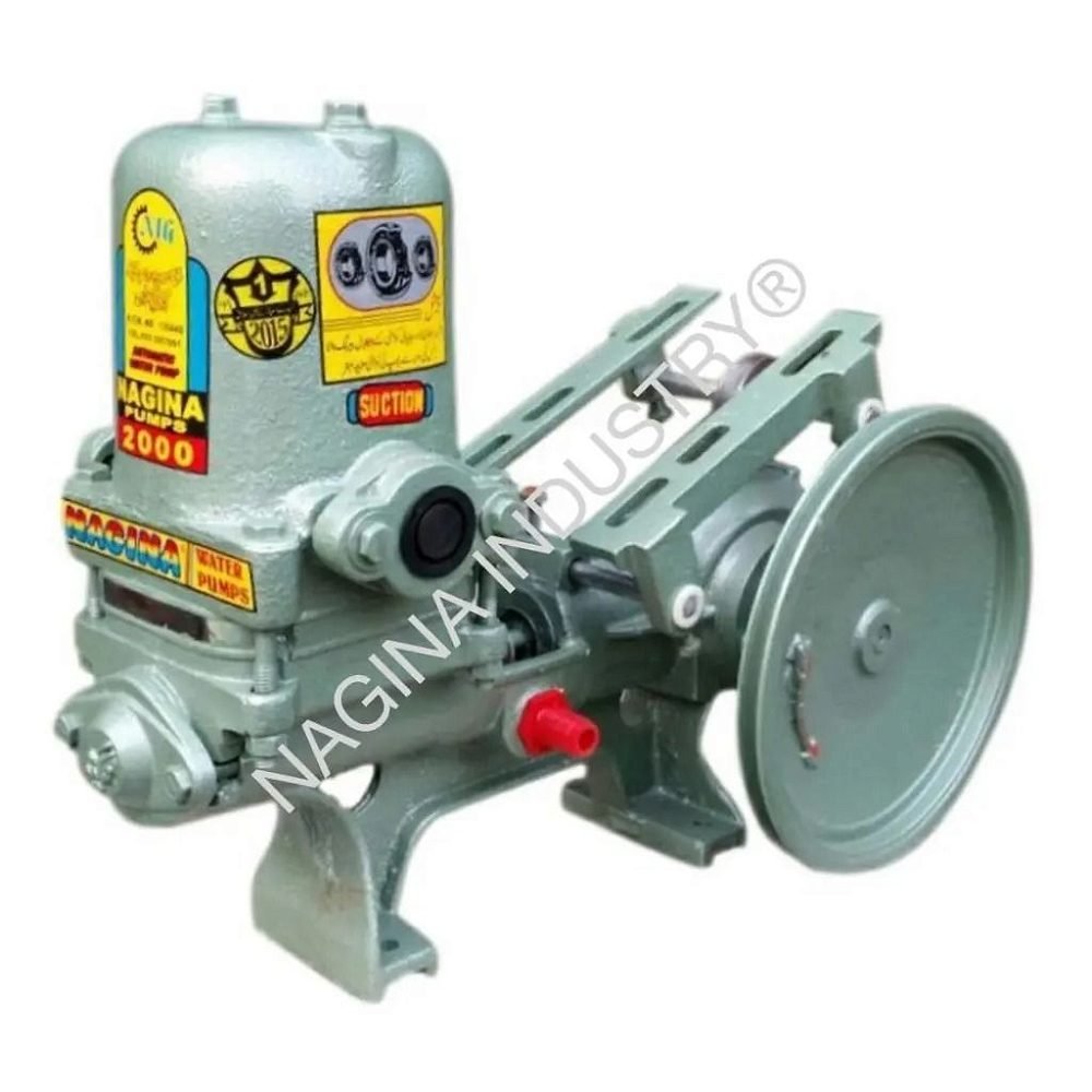 NAGINA Piston Pump