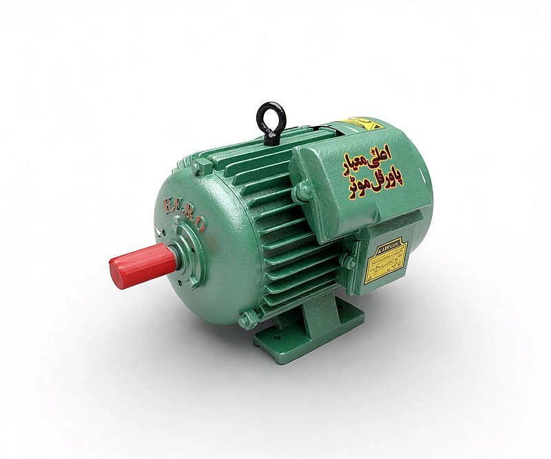 HERO Electric Motor