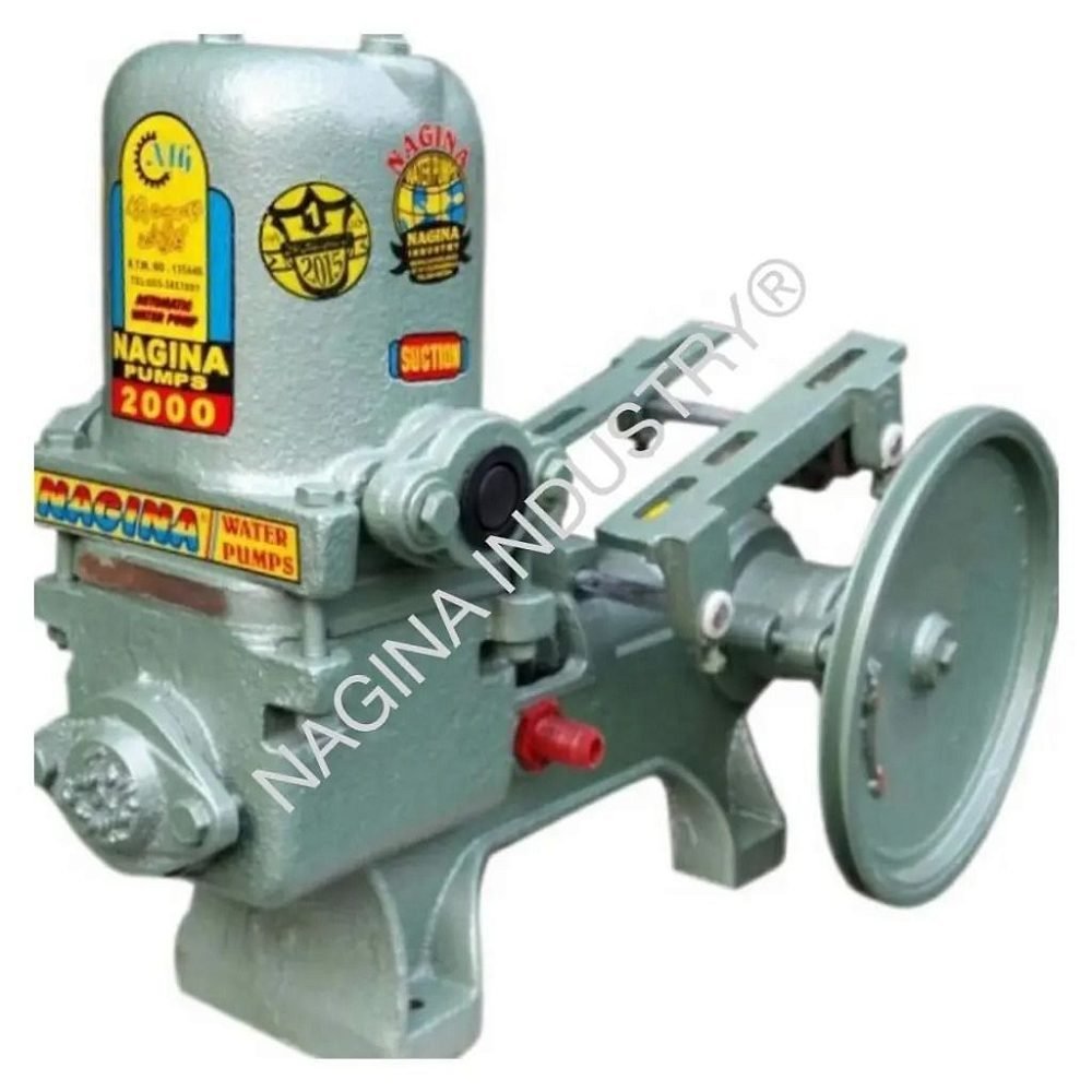 NAGINA Piston Pump