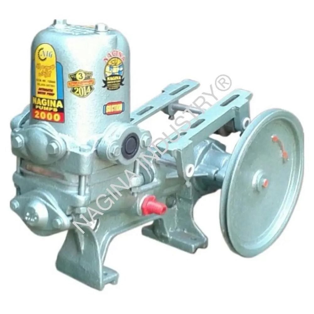 NAGINA Piston Pump