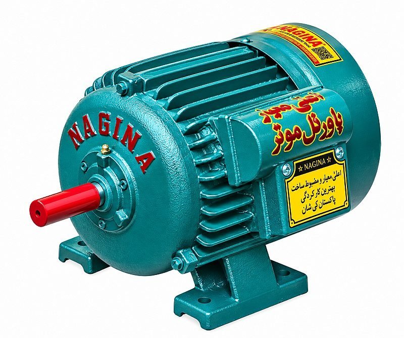 NAGINA ELECTRIC MOTOR SINGLE PHASE HP 1 NEM_01