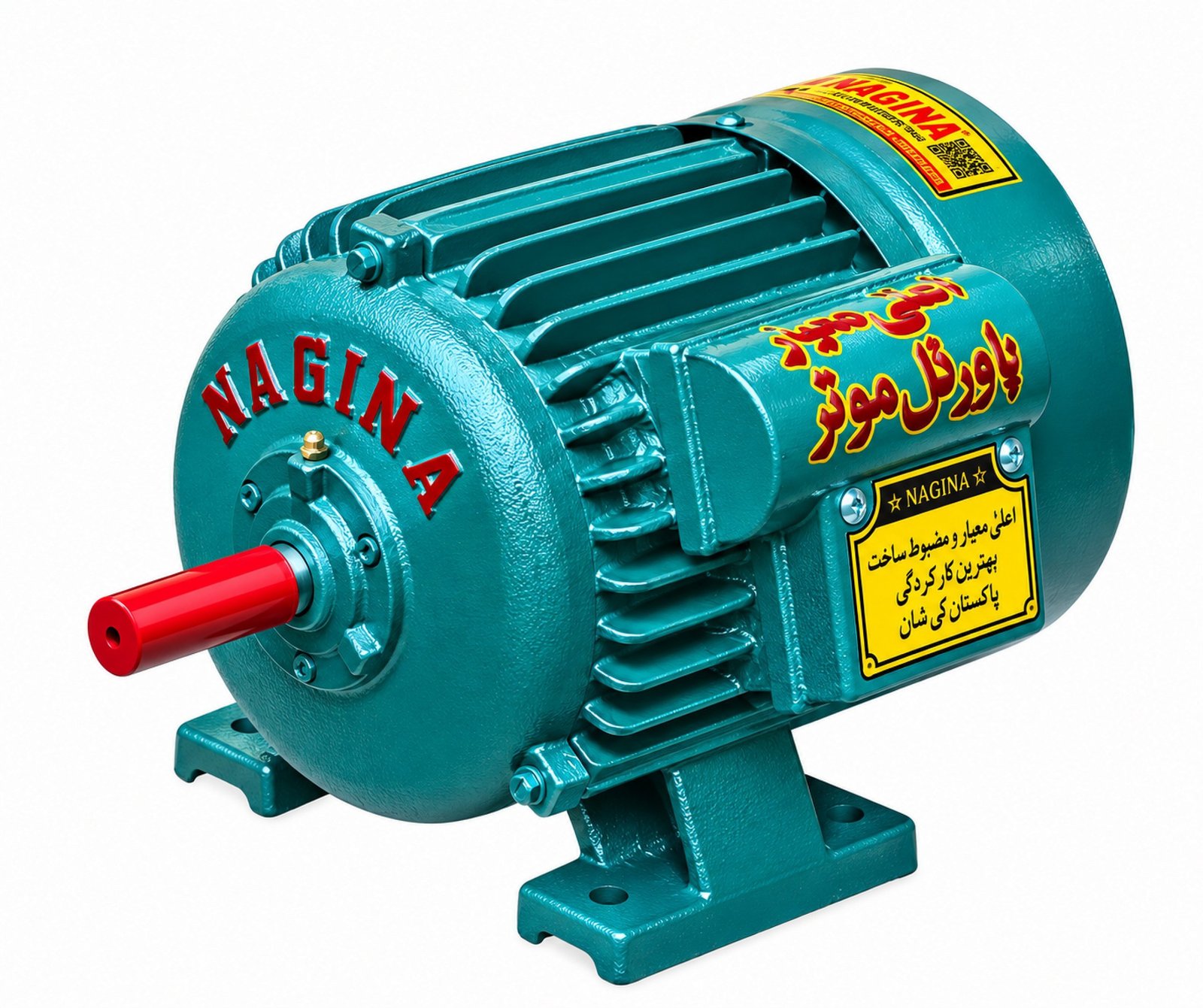 NAGINA ELECTRIC MOTOR SINGLE PHASE HP 1 NEM_01