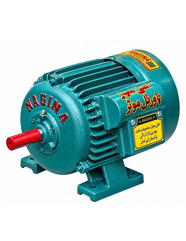 NAGINA ELECTRIC MOTOR SINGLE PHASE HP 1 NEM_01