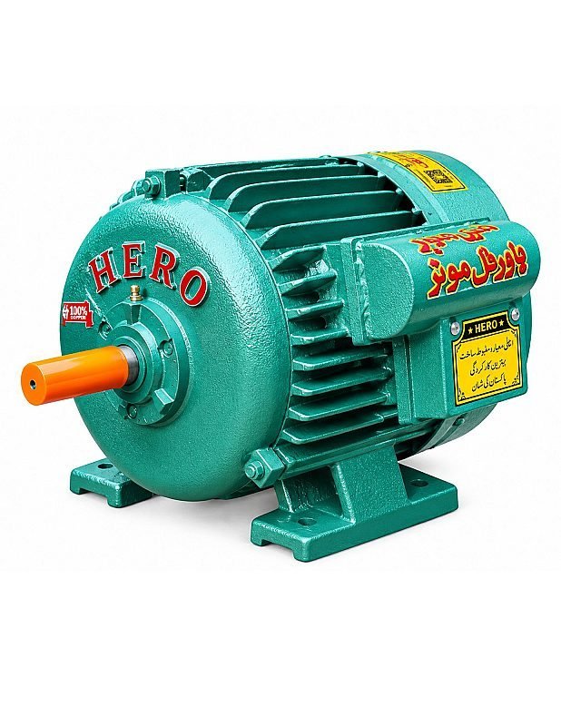 HERO ELECTRIC MOTOR HP 1 SINGLE PHASE HEM_001