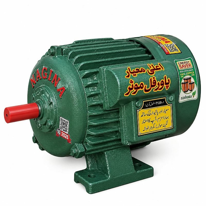 NAGINA ELECTRIC MOTOR SINGLE PHASE HP 1/2 NEM_04