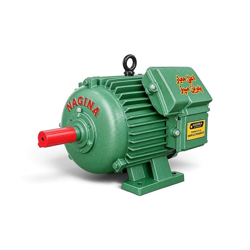NAGINA ELECTRIC MOTOR THREE PHASE HP 2 NEM_05