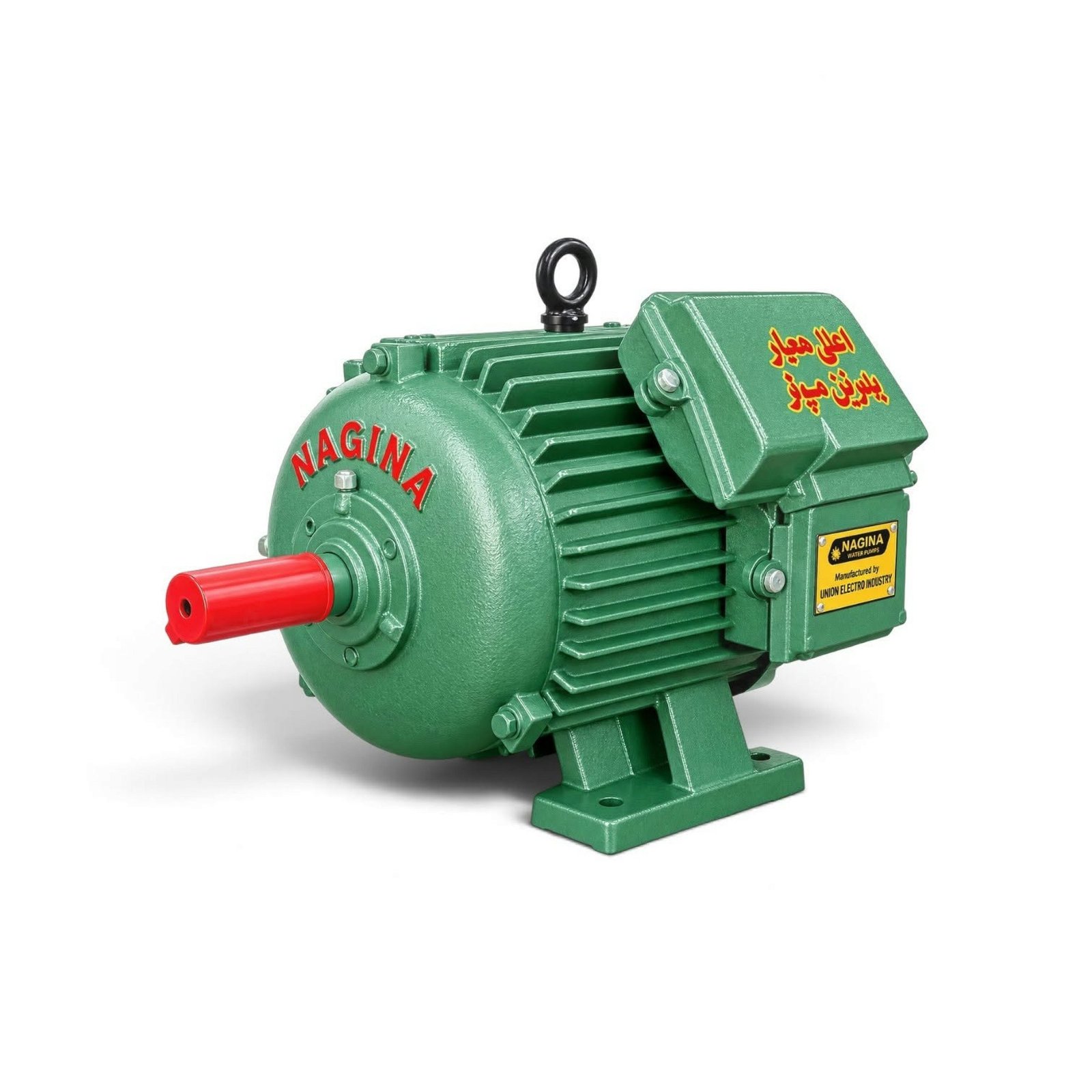 NAGINA ELECTRIC MOTOR THREE PHASE HP 2 NEM_05