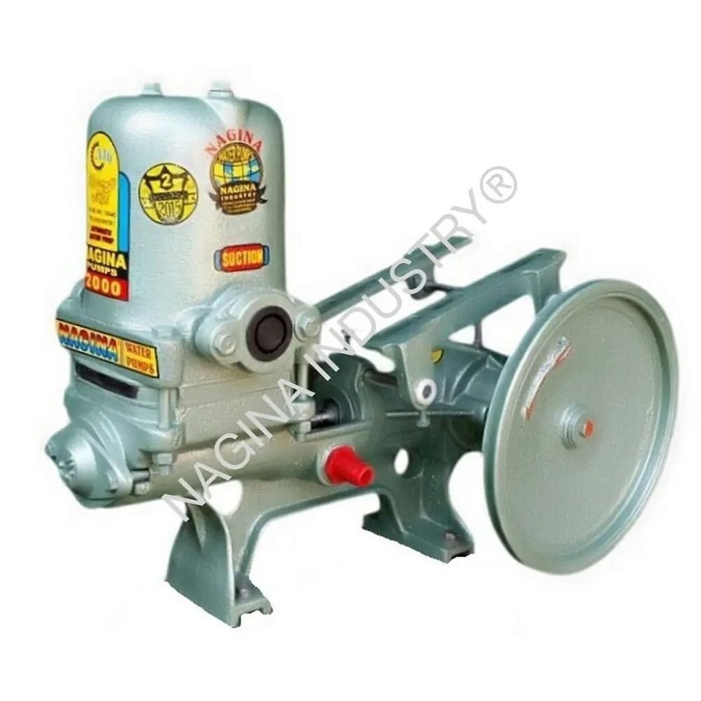 NAGINA Piston Pump