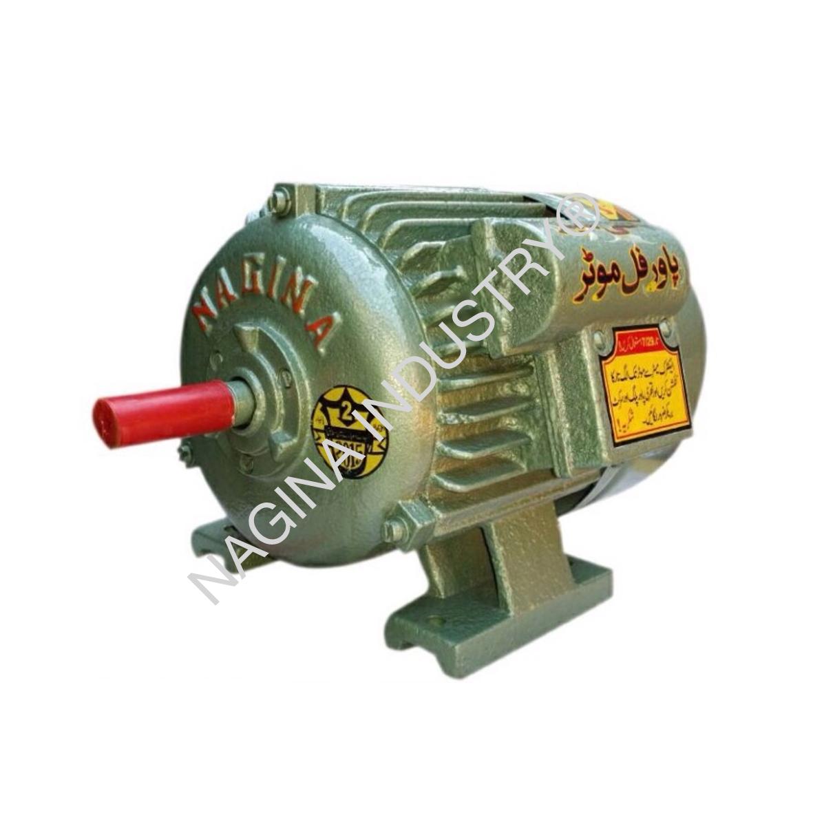 nagina-12-hp-motors