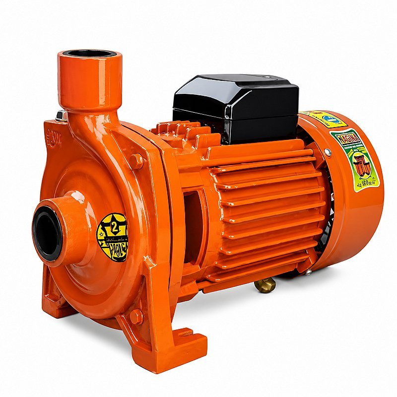 NAGINA Mono-Block Pumps ½ HP SIZE: (1×1)