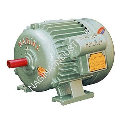 Nagina Electric Motors